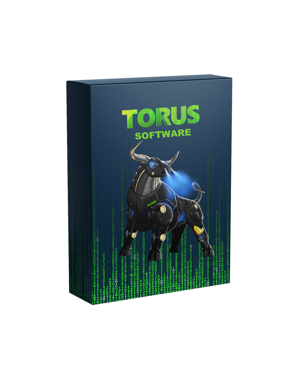 Torus Software Price